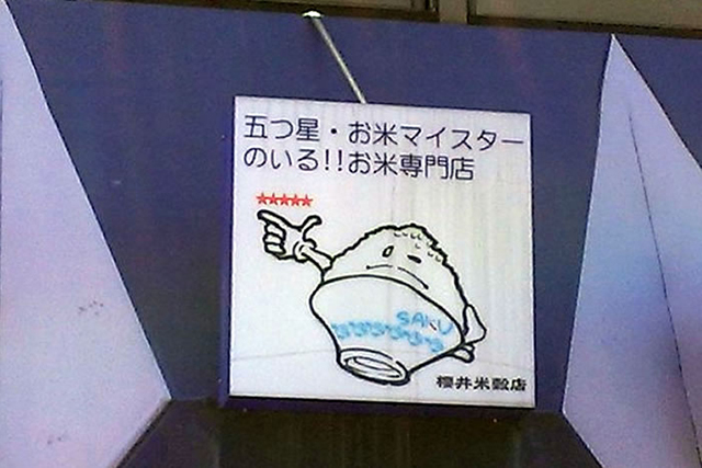 オリーブリーフ 5つ星マイスター