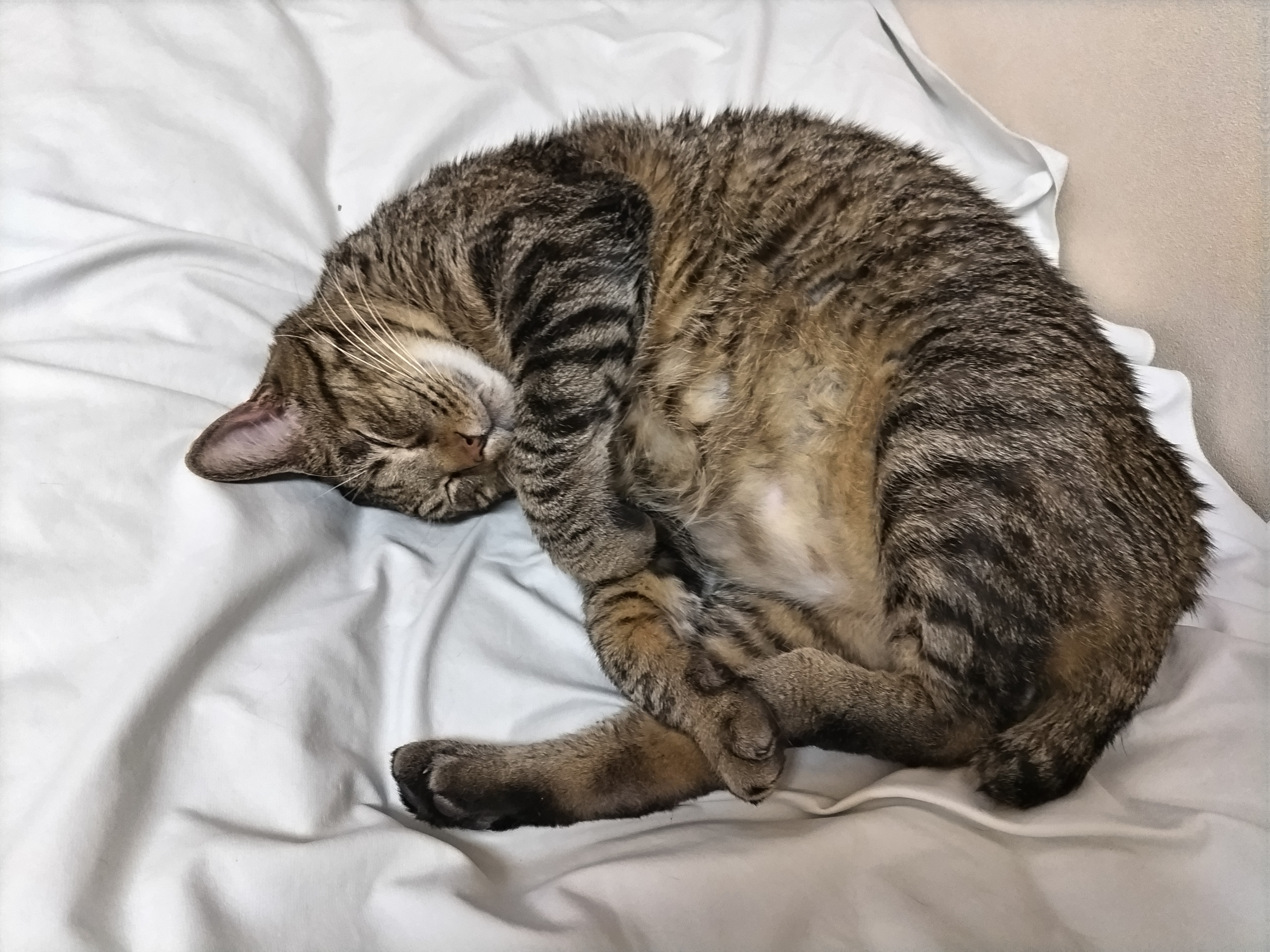 デイサービスオリーブリーフ4