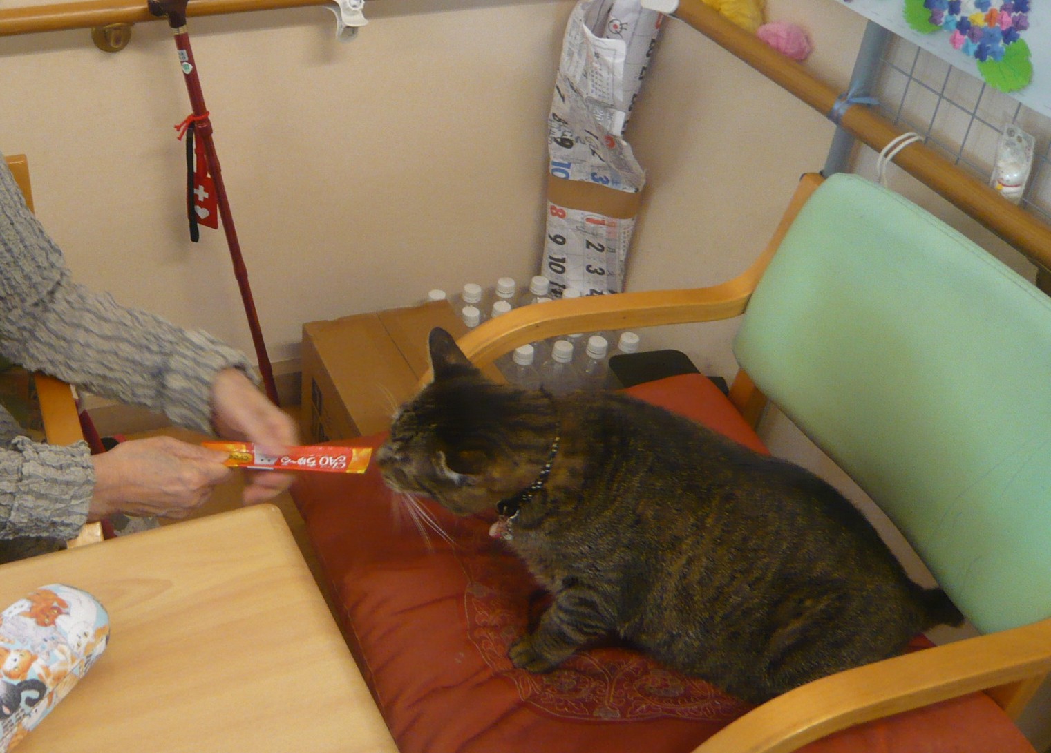 デイサービスオリーブリーフ1