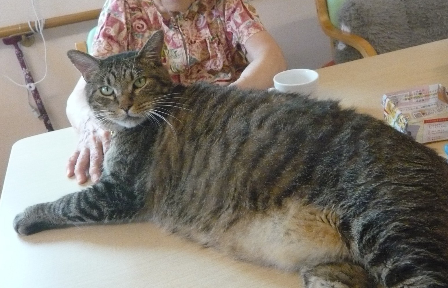 デイサービスオリーブリーフ2