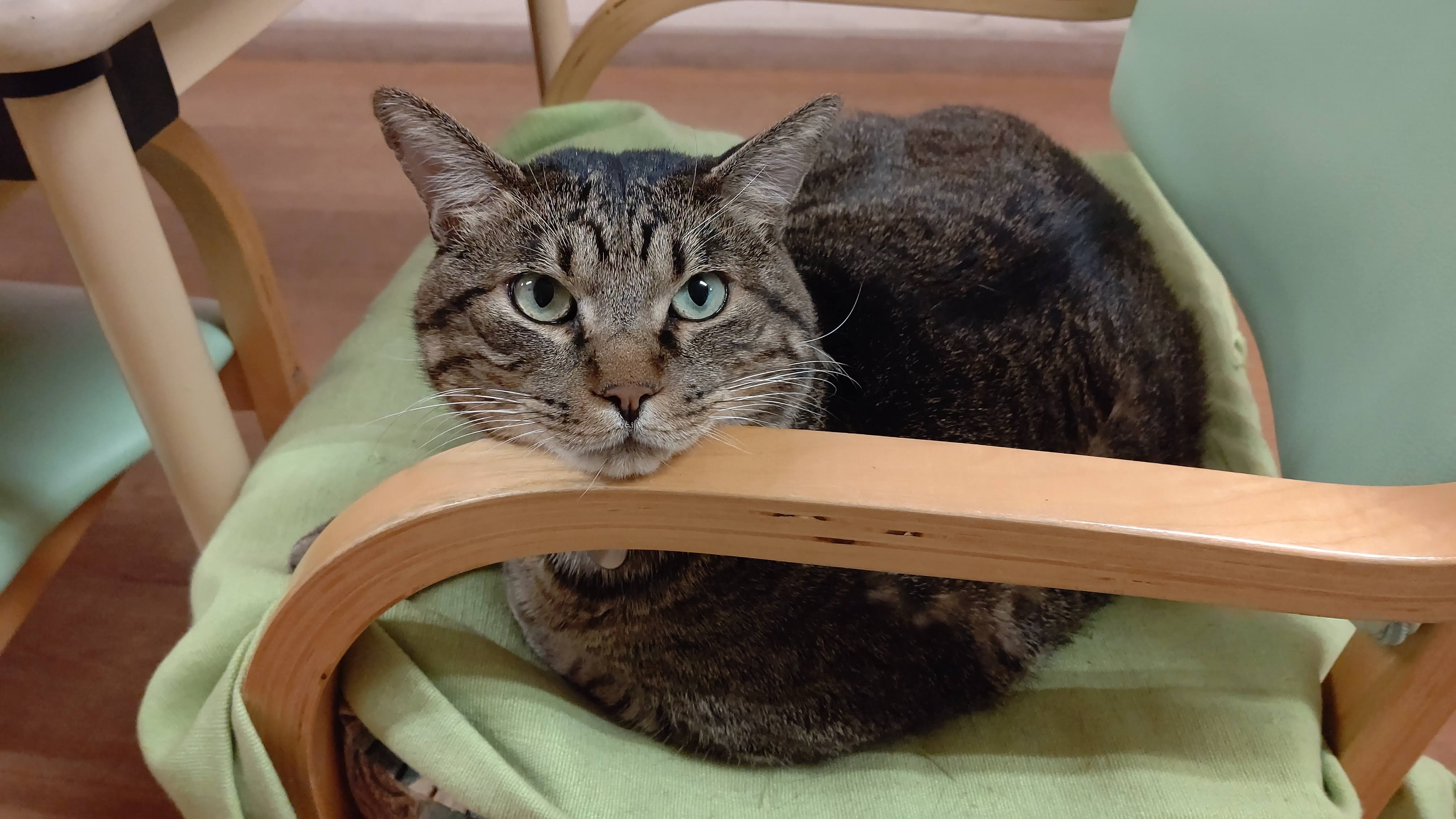 デイサービスオリーブリーフ3