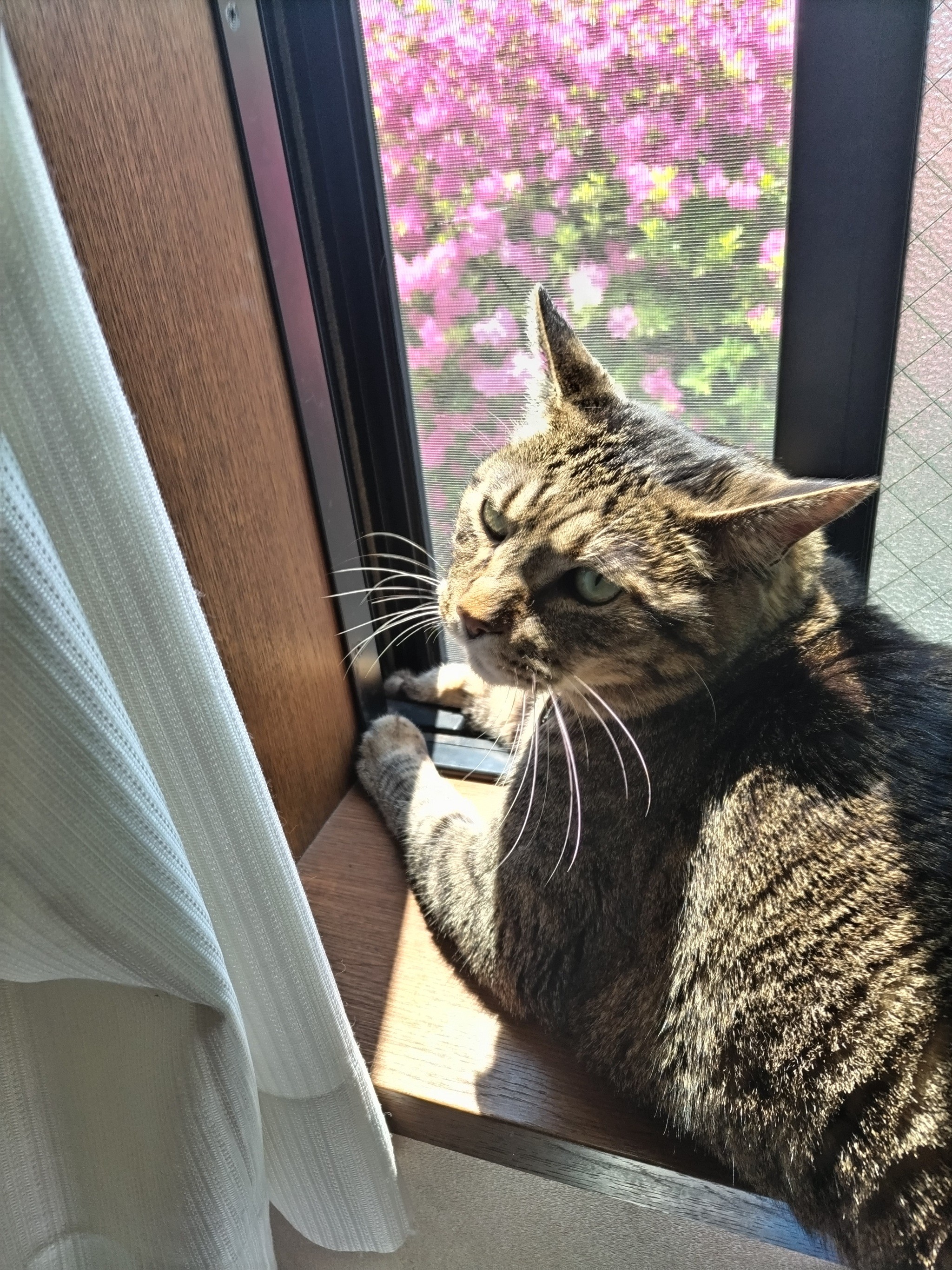 デイサービスオリーブリーフ6